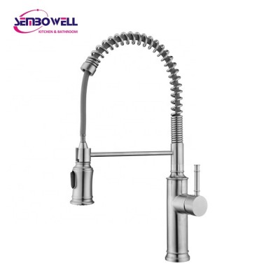 Sembowell 304 Stainless Steel Single Handle Pull Out Pull Down Spring Kitchen Faucet